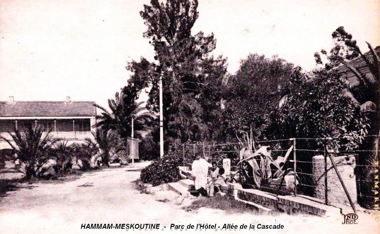 Hammam-Meskoutine - Parc de l'Hotel - Allee de la Cascade.jpg
